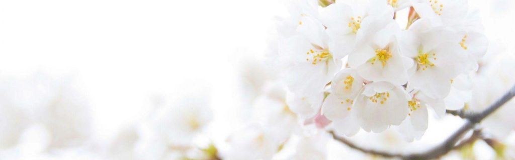 Công Ty TNHH SX & TM Bảo Mã